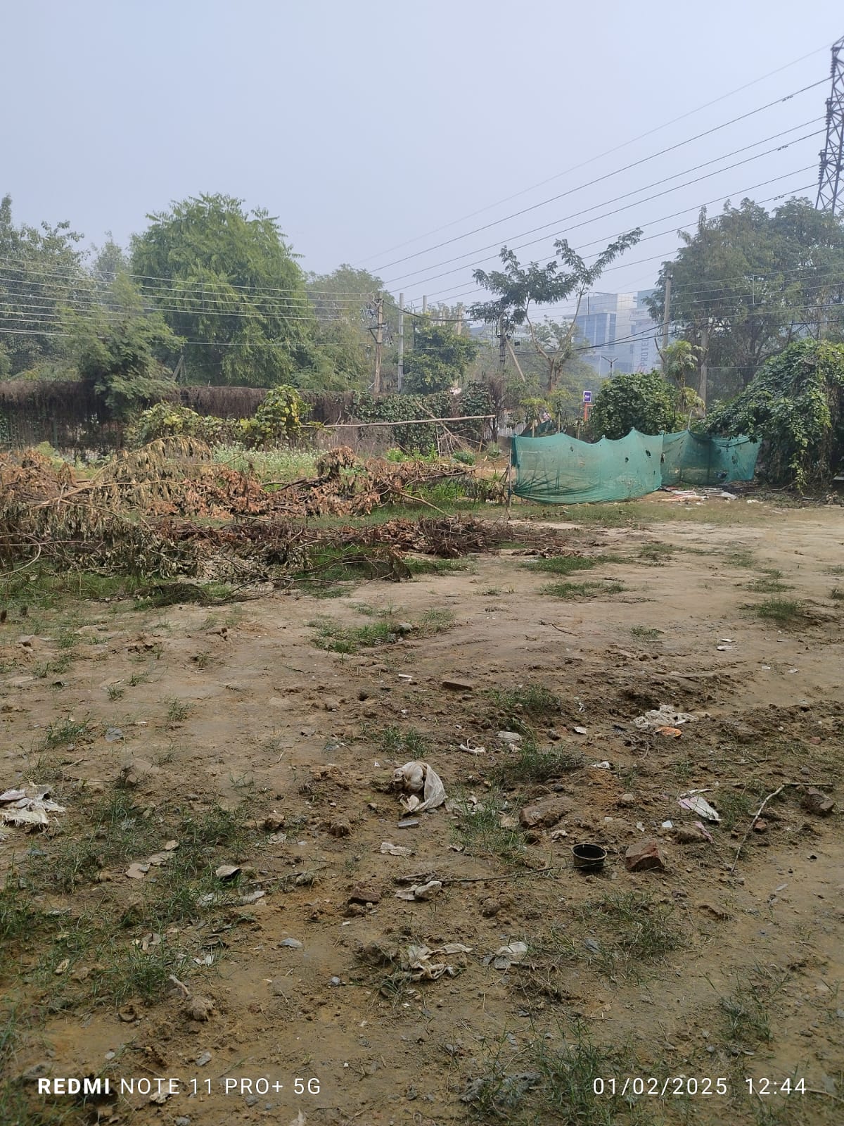 500 Sq.Yards. Plot/Land In Greenwood City Sector 45, Gurgaon.